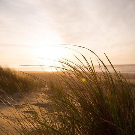 Grosse Nordseewelle Ohne Hund 诺登 外观 照片