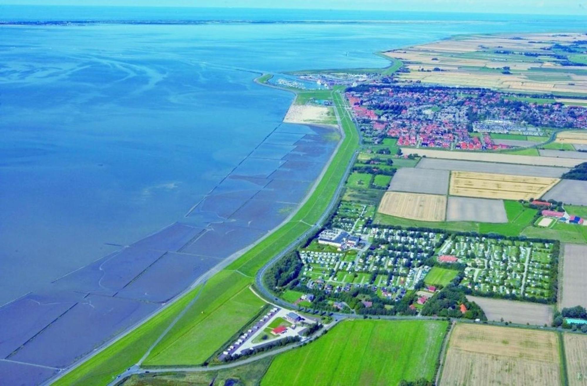 Grosse Nordseewelle Ohne Hund 诺登 外观 照片